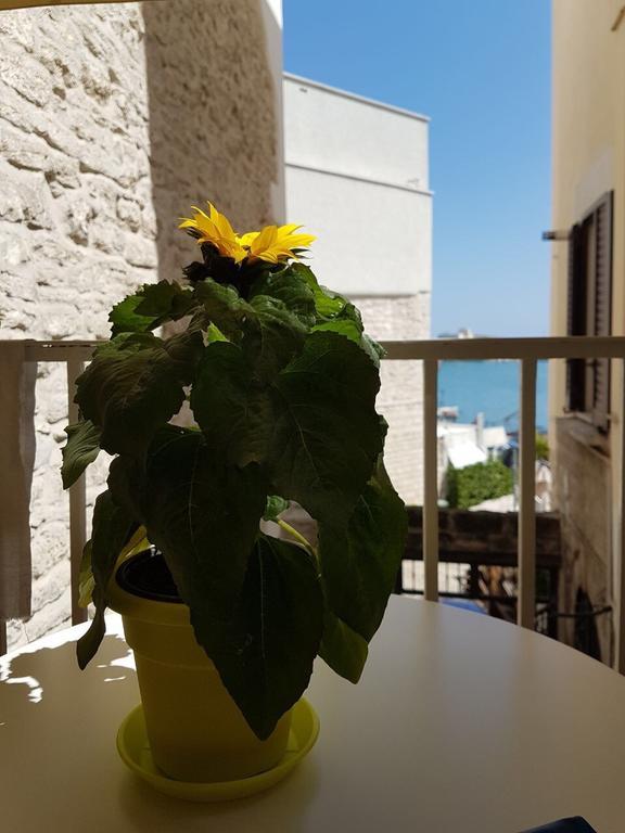 La Banchina Holiday Rooms Trani Exteriör bild