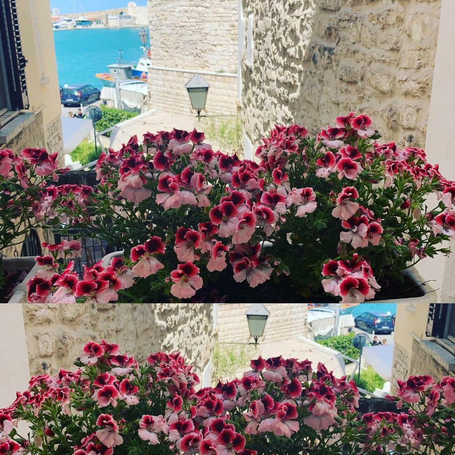 La Banchina Holiday Rooms Trani Exteriör bild